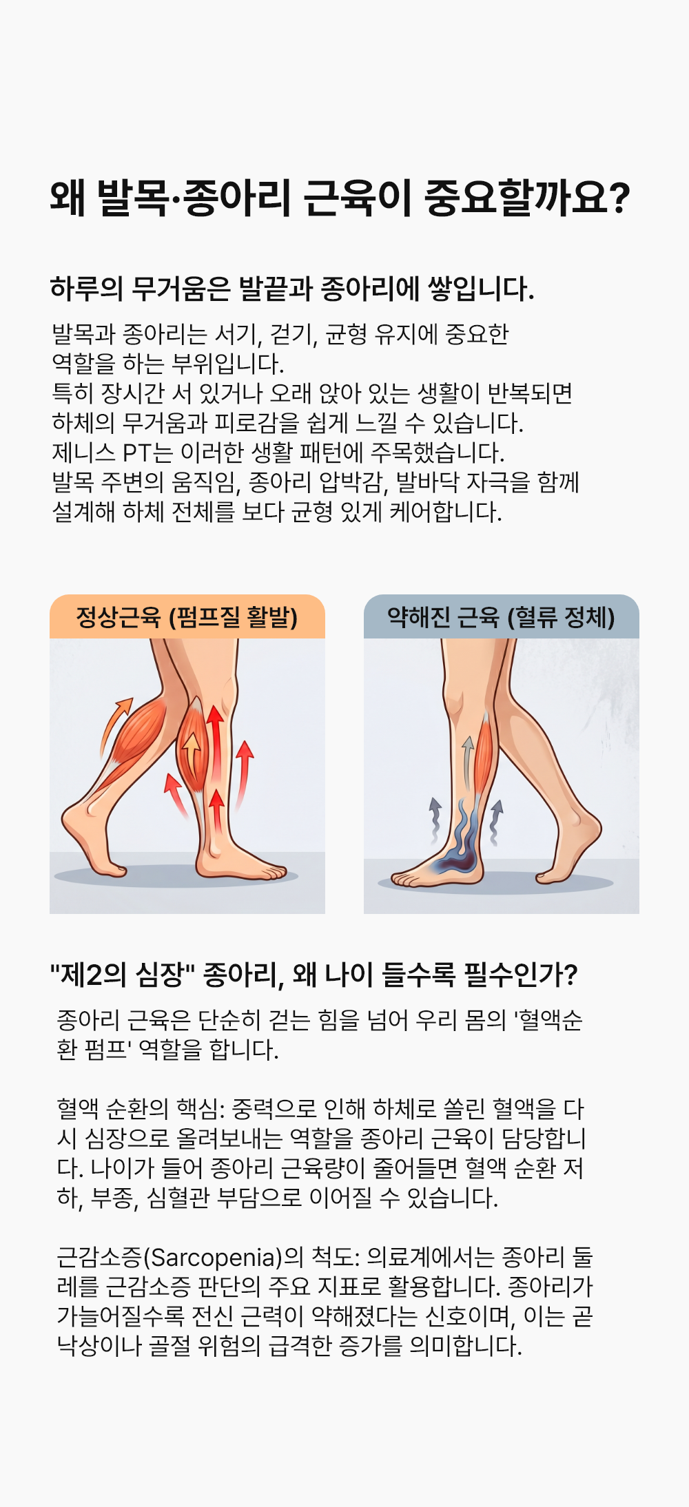 LSS-7900D 제니스PT
